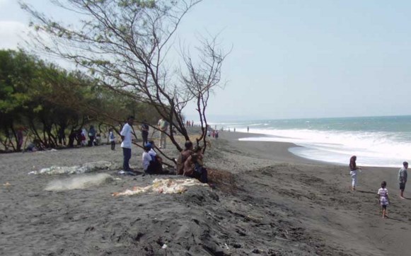 Foto Pantai Pandansimo